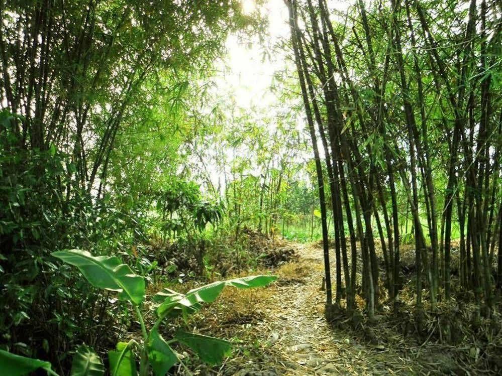 Green Village Homestay Кантхо Экстерьер фото